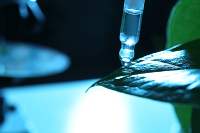 Photo of Clear liquid dropping from pipette on leaf against blurred background, closeup with space for text. Plant chemistry