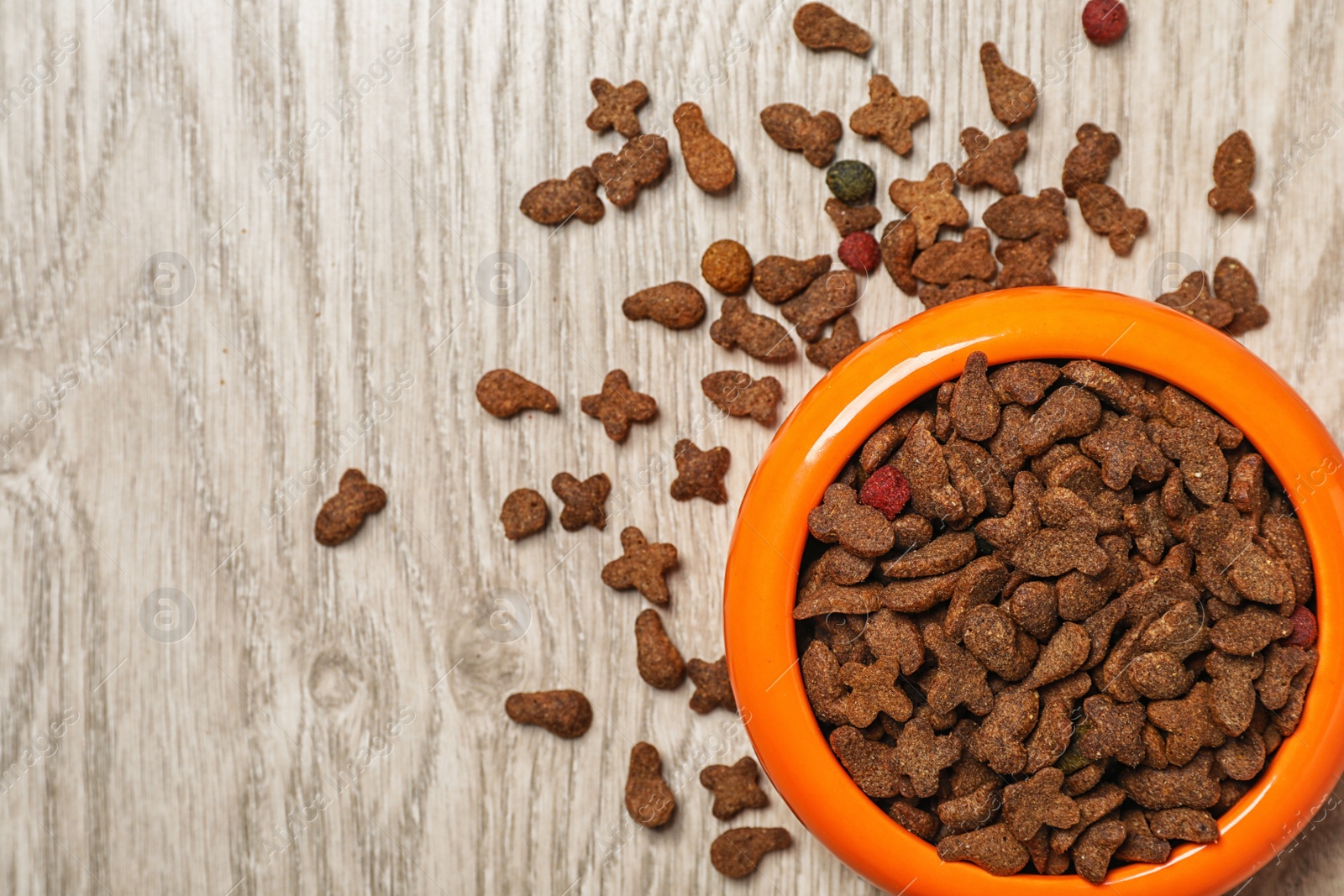 Photo of Bowl with food for cat or dog on wooden background. Pet care