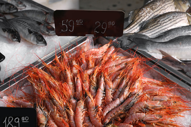 Photo of Fresh fish and shrimps on ice in supermarket