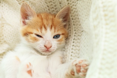 Cute sleepy little red kitten on white knitted blanket, closeup view