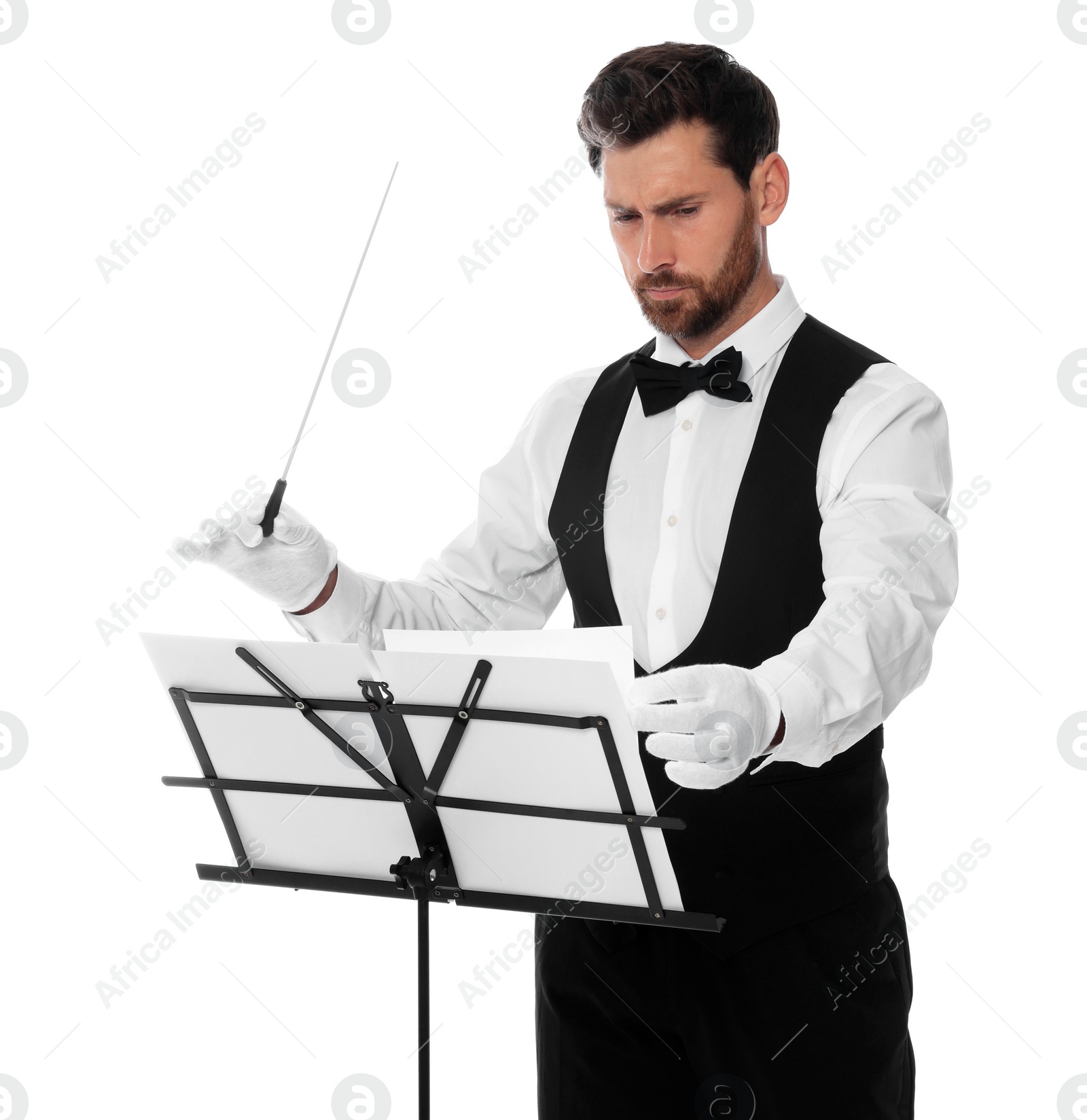 Photo of Professional conductor with baton and note stand on white background