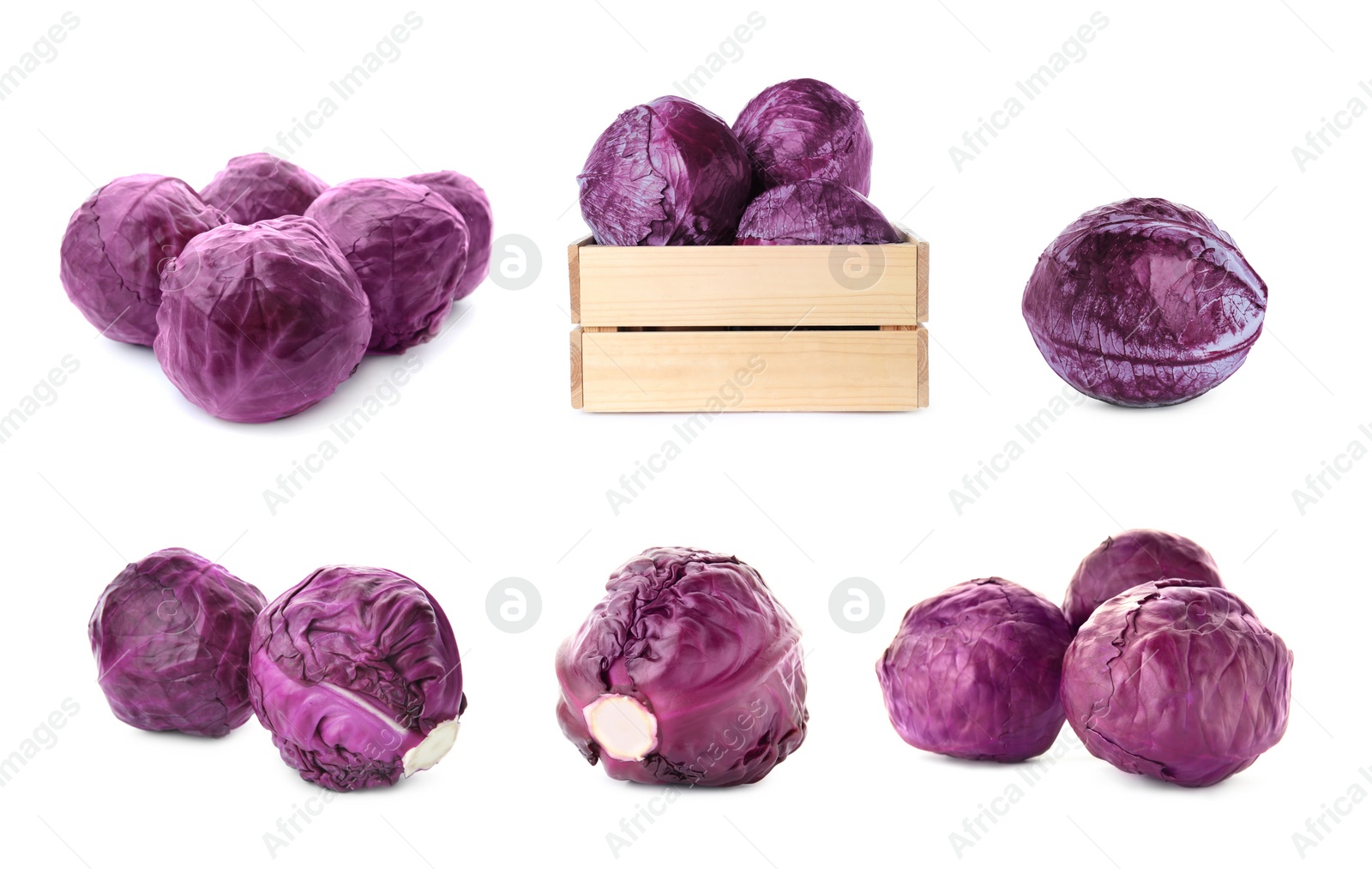 Image of Set of ripe red cabbages isolated on white