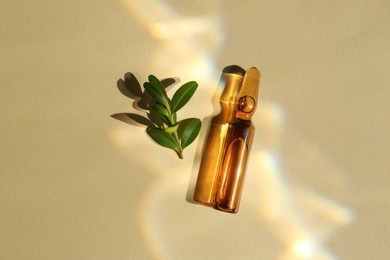 Skincare ampoule and leaves in sunlight on beige background, top view