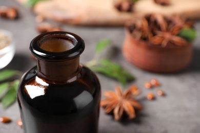 Photo of Bottle of anise essential oil, closeup. Space for text