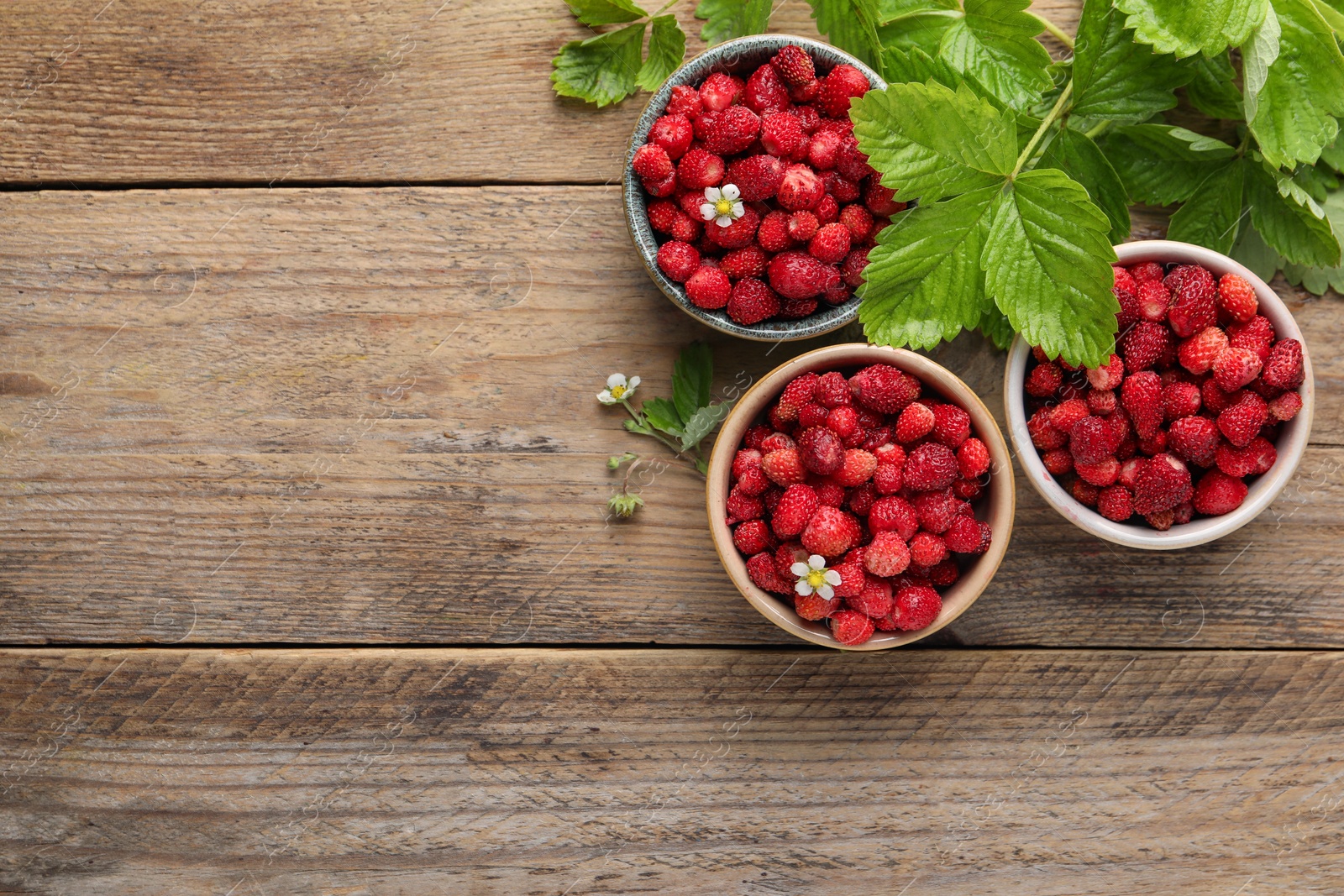 Photo of Fresh wild strawberries in bowls and leaves on wooden table, flat lay. Space for text