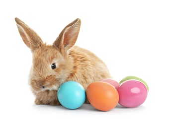 Photo of Adorable furry Easter bunny and colorful eggs on white background