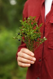 Woman holding branch with ripe bilberries outdoors, closeup