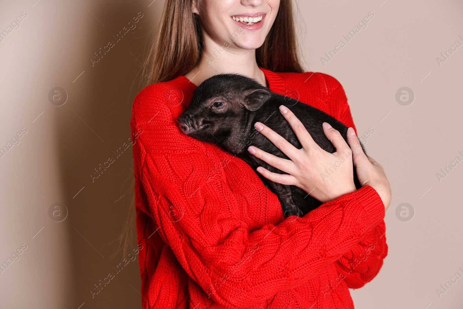 Photo of Woman holding mini pig on color background, closeup