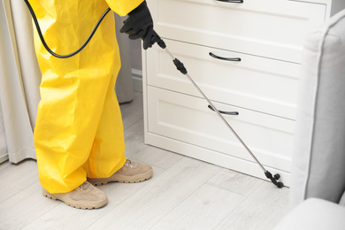 Pest control worker spraying pesticide around furniture indoors, closeup