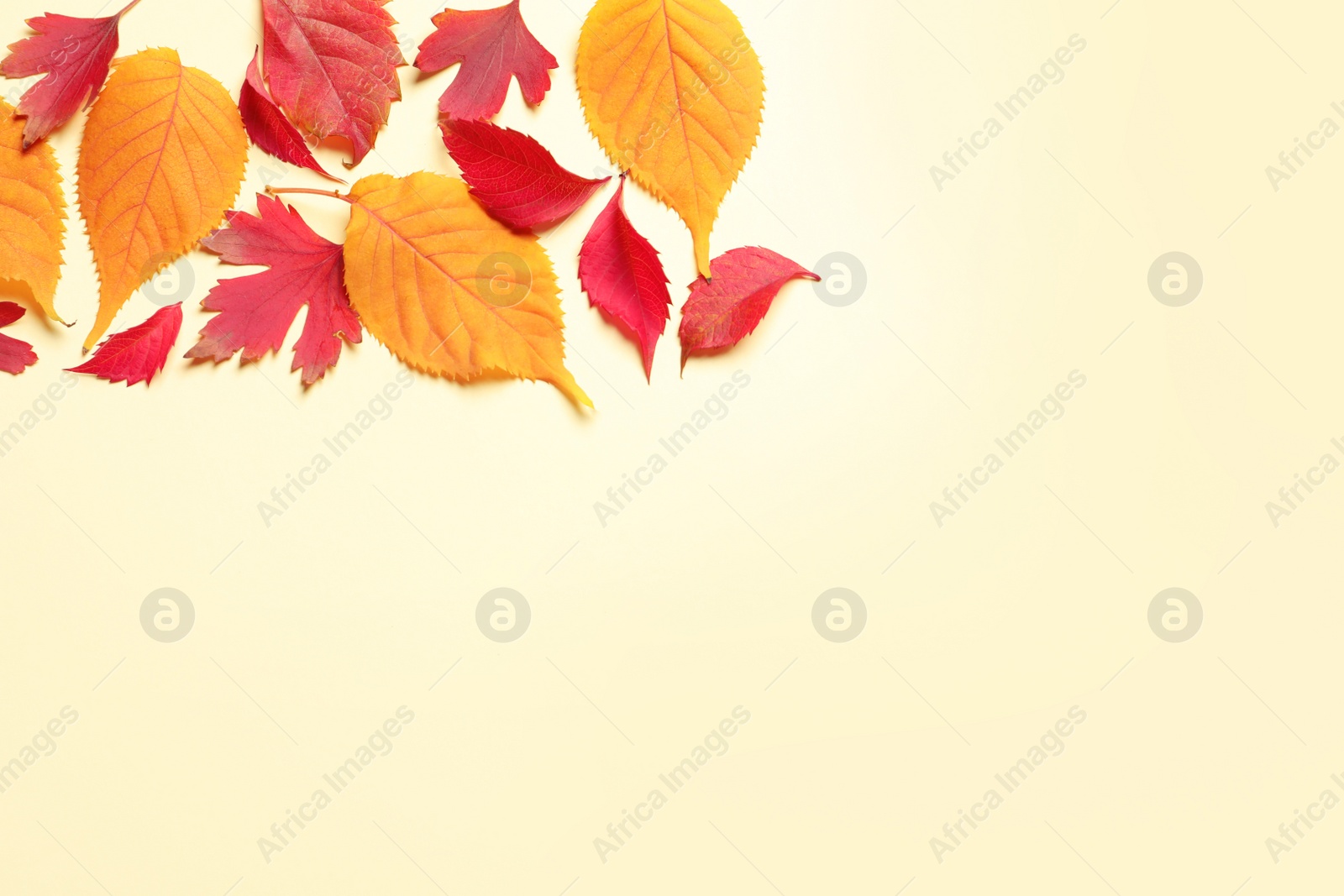 Photo of Flat lay composition with autumn leaves and space for text on color background