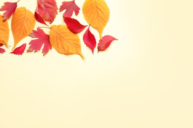 Flat lay composition with autumn leaves and space for text on color background