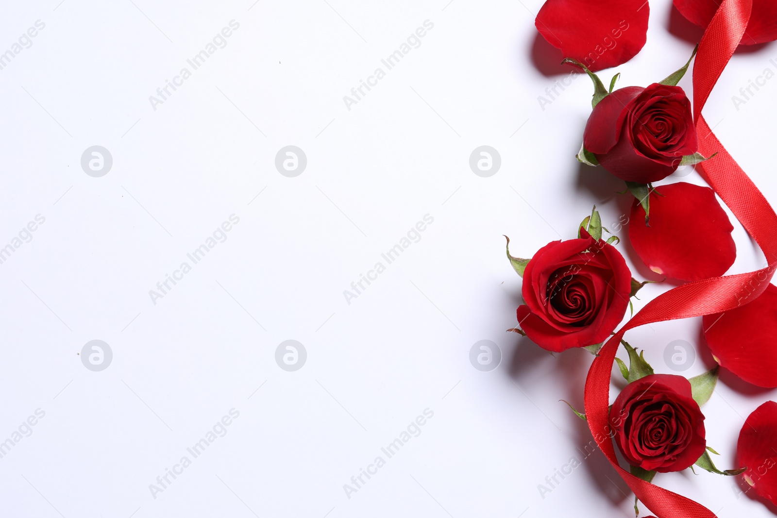 Photo of Beautiful red roses, petals and ribbon on white background, top view. Space for text