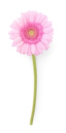 Photo of One beautiful pink gerbera flower isolated on white, top view