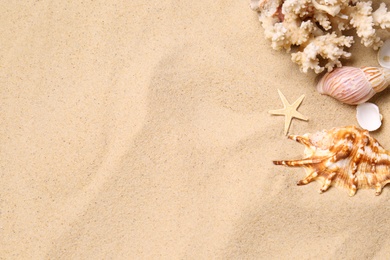 Photo of Beautiful seashells, coral and starfish on beach sand, flat lay with space for text. Summer vacation