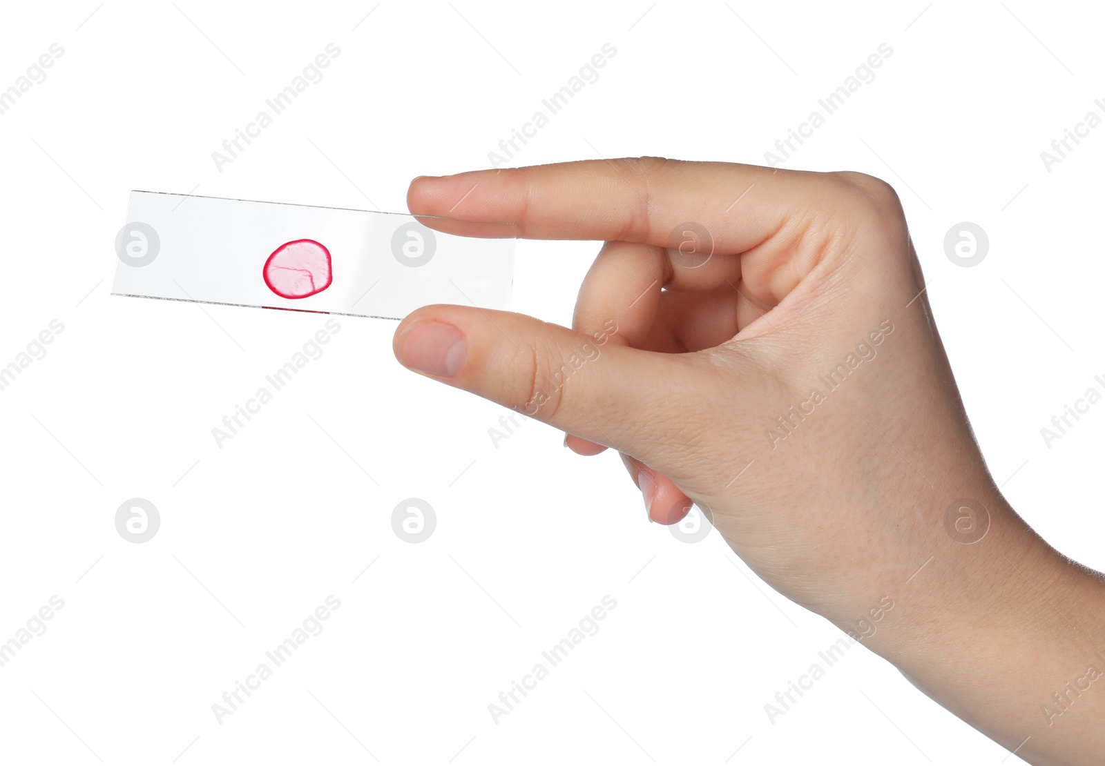 Photo of Woman holding microscope slide with sample on white background, closeup