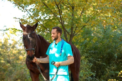 Veterinarian in uniform with beautiful brown horse outdoors. Space for text