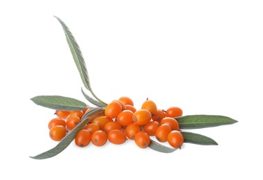 Photo of Fresh ripe sea buckthorn berries on white background