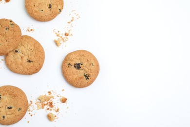 Photo of Tasty homemade cookies with raisins on white background, top view