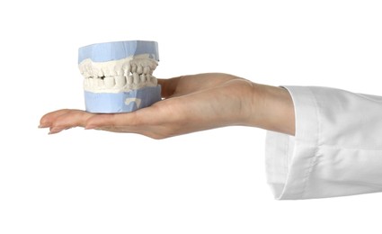 Photo of Doctor holding dental model with jaws on white background, closeup. Cast of teeth