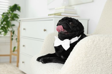 Photo of Cute Pug dog with white bow tie on neck in room, space for text