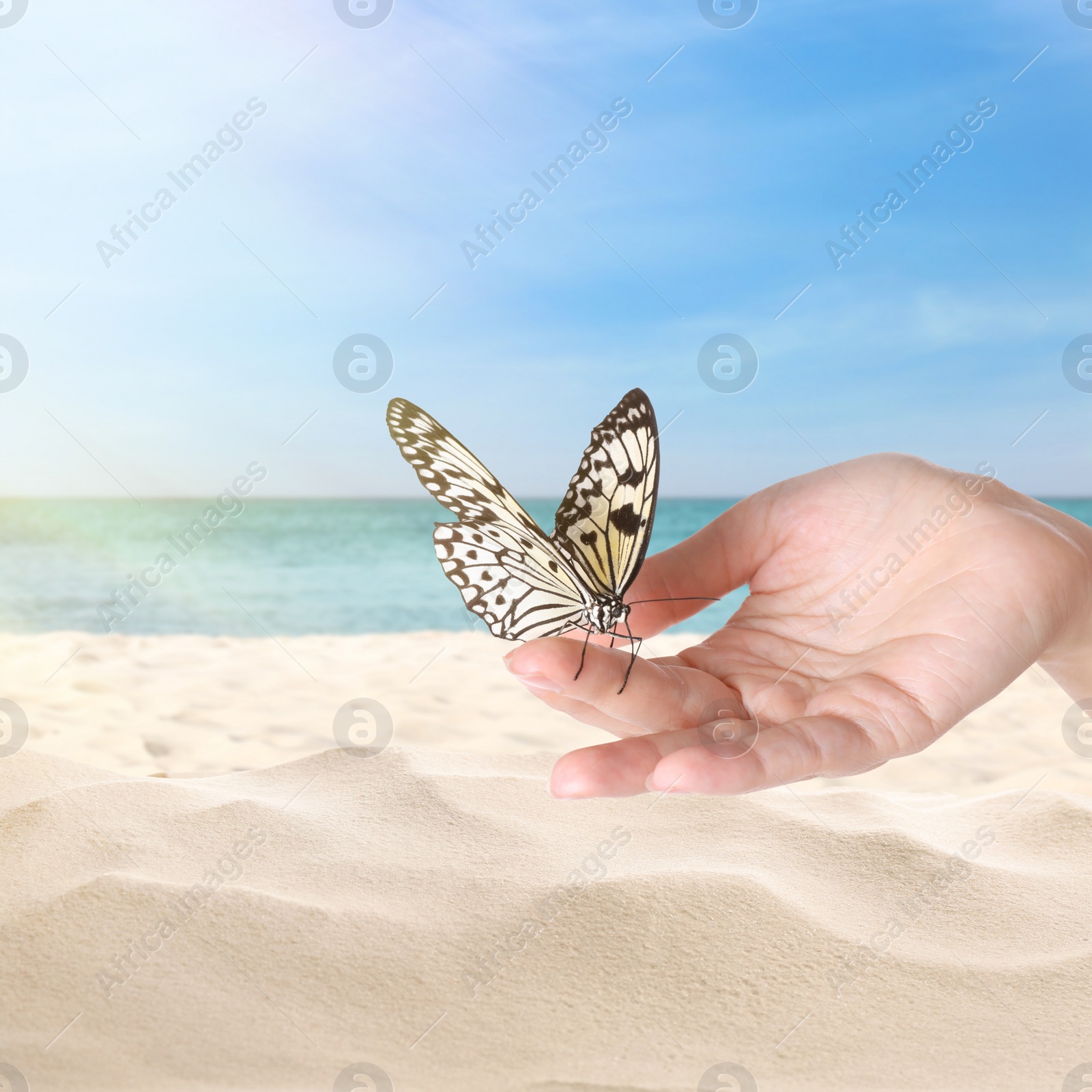 Image of Woman holding beautiful rice paper butterfly on sandy beach, closeup