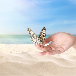 Image of Woman holding beautiful rice paper butterfly on sandy beach, closeup