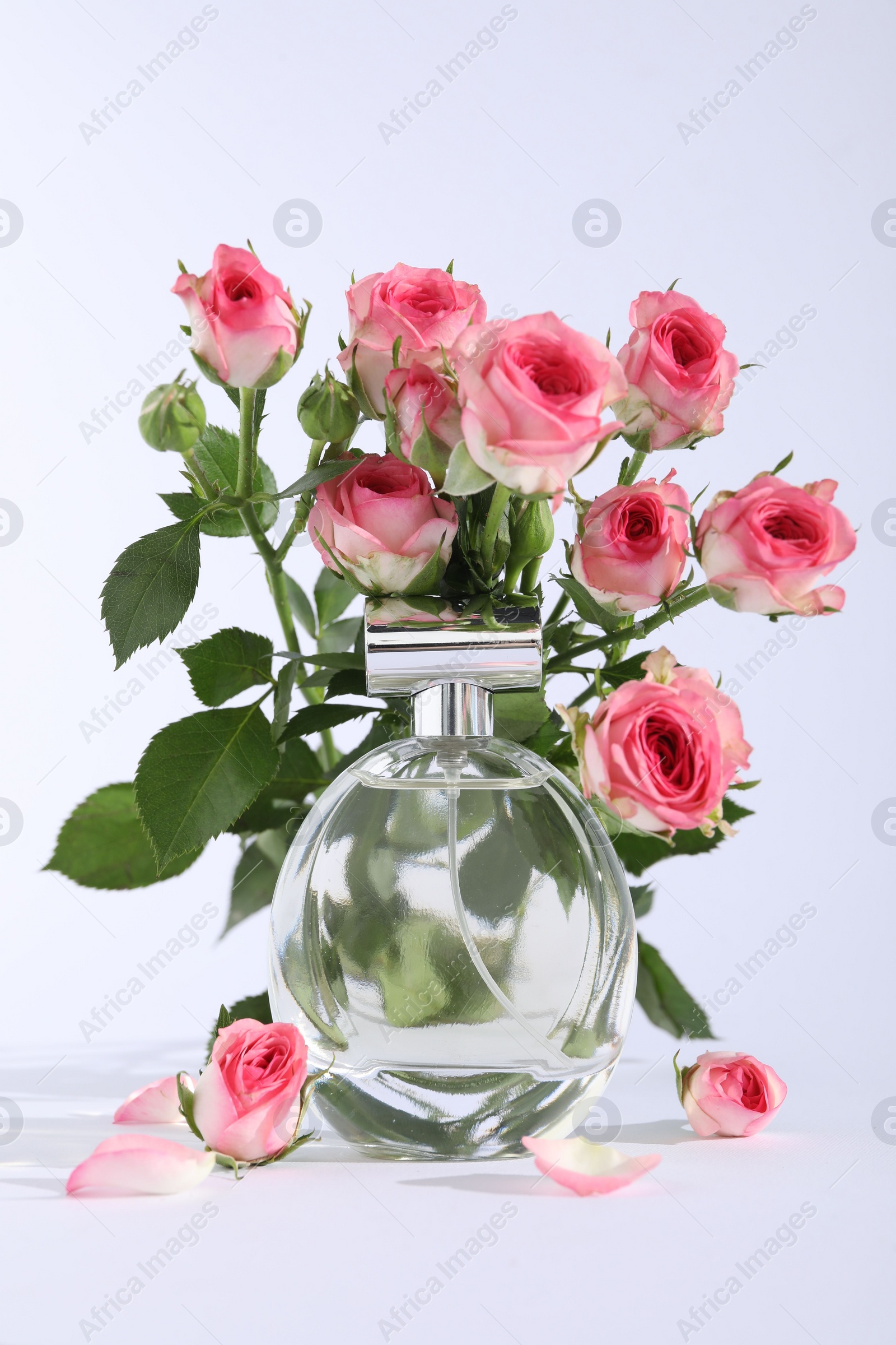 Photo of Bottle of luxury perfume and beautiful roses on white background. Floral fragrance