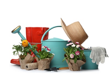 Photo of Composition with plants and gardening tools on white background