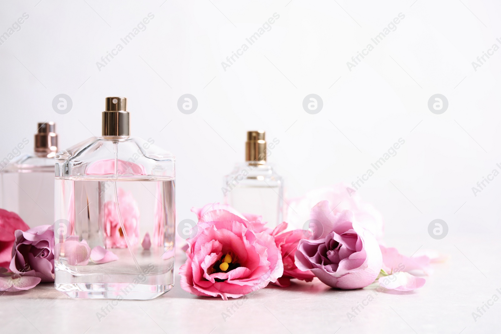 Photo of Bottles of perfume and beautiful flowers on light table. Space for text