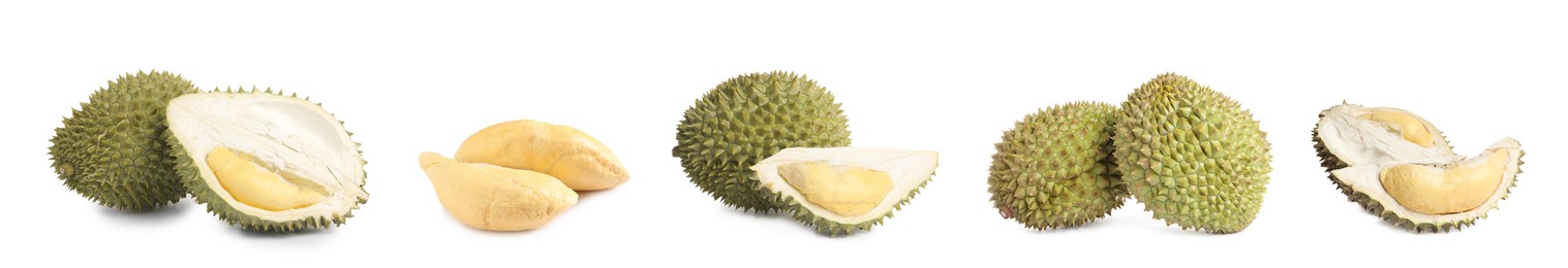Set with ripe durians on white background. Banner design