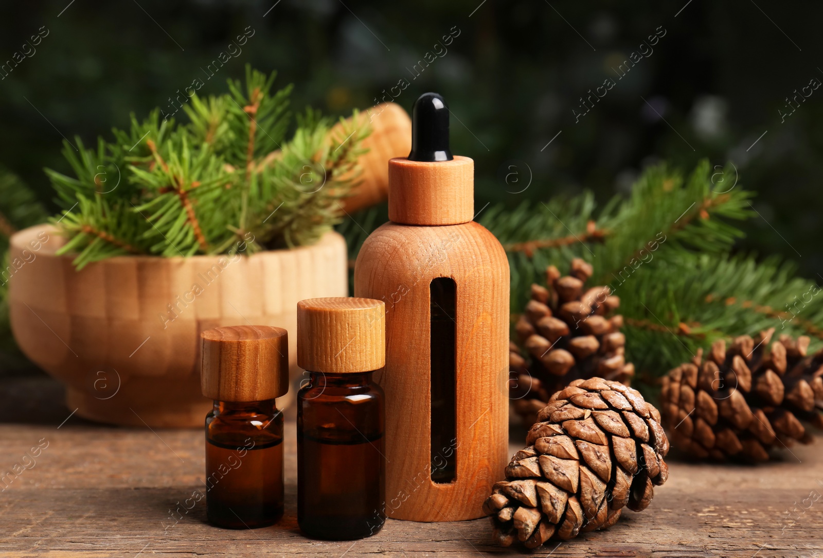 Bottles of pine essential oil, conifer tree branches and cones on wooden table Photo of Bottles of pine essential oil, conifer tree branches and cones on wooden table