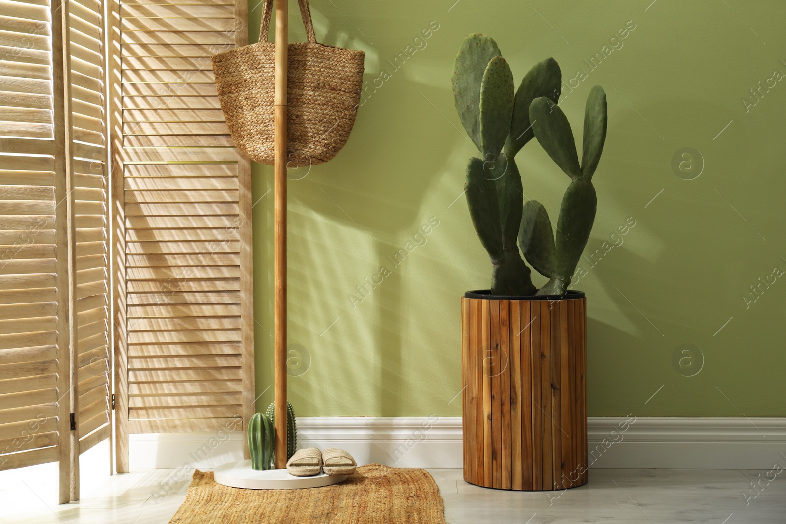 Photo of Hallway interior with cactus in pot and wooden furniture