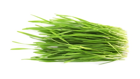 Wheat grass on white background, top view