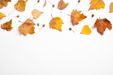 Flat lay composition with autumn leaves and space for text on white background