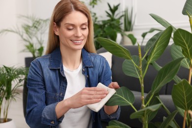 Photo of Woman wiping leaves of beautiful houseplants with cloth at home
