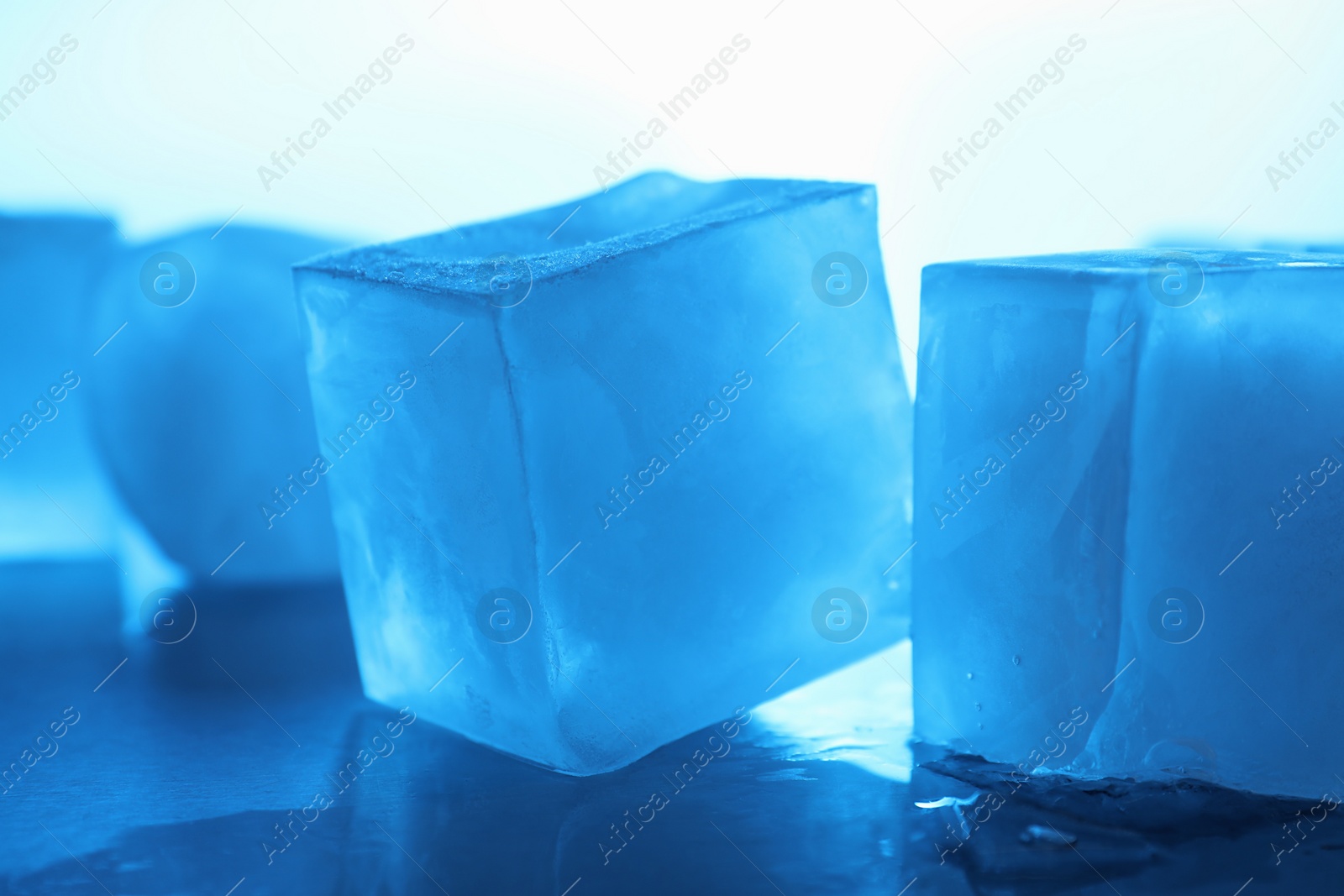 Photo of Crystal clear ice cubes on light blue background, closeup. Color tone effect