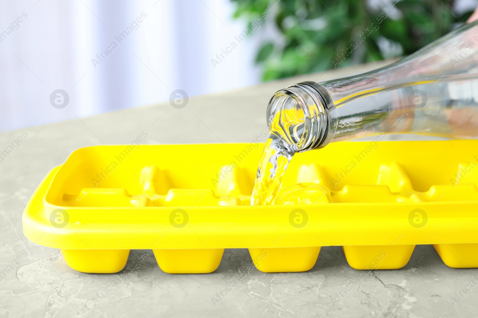 Photo of Pouring water into ice cube tray on table, closeup