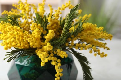 Photo of Beautiful mimosa flowers in green vase indoors, closeup