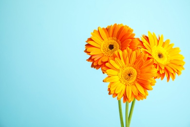 Photo of Bouquet of beautiful bright gerbera flowers on color background. Space for text