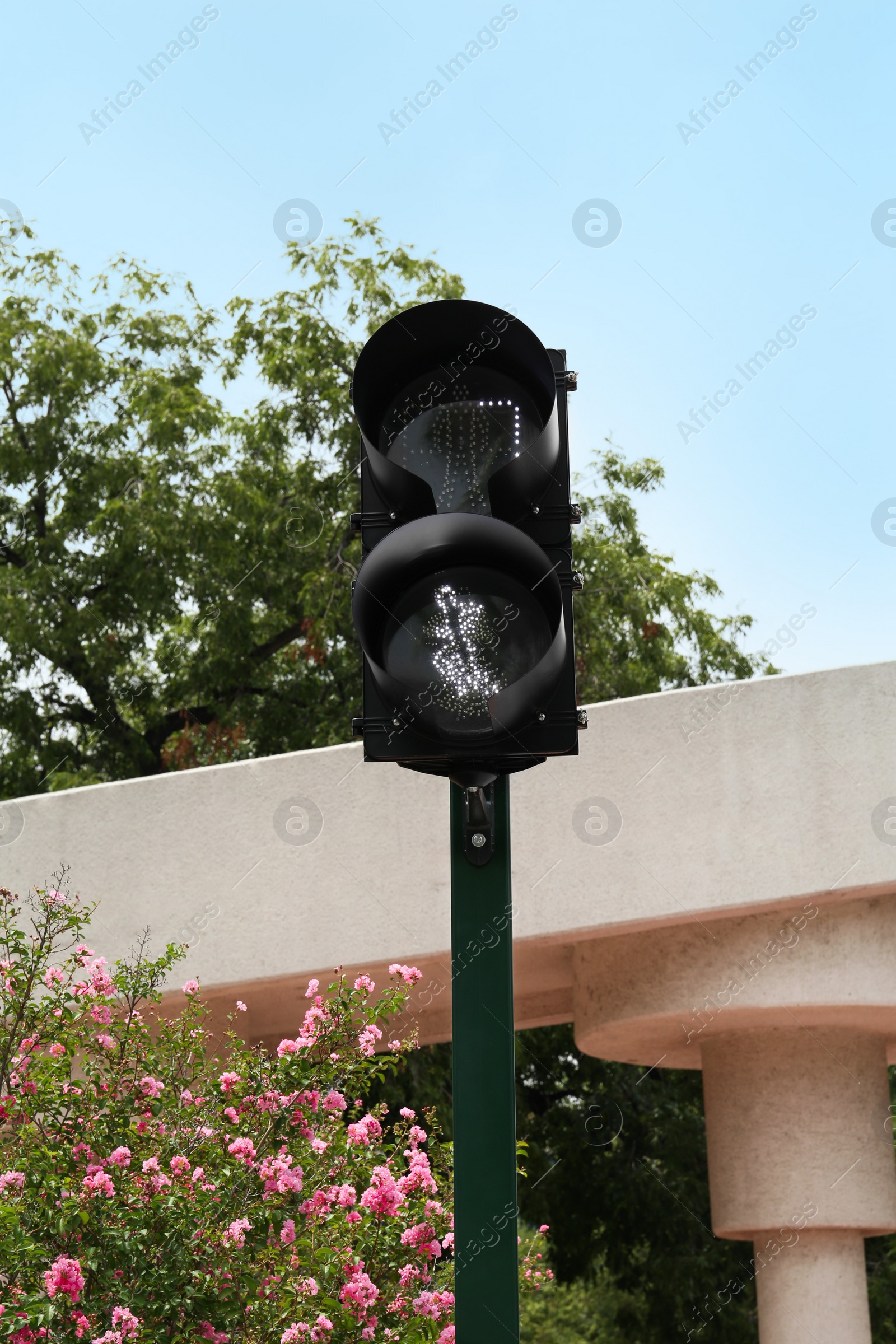 Photo of Traffic light for pedestrians on city street