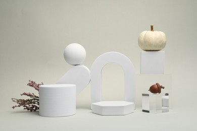 Autumn presentation for product. Geometric figures, heather flowers, acorn and pumpkin on light grey background