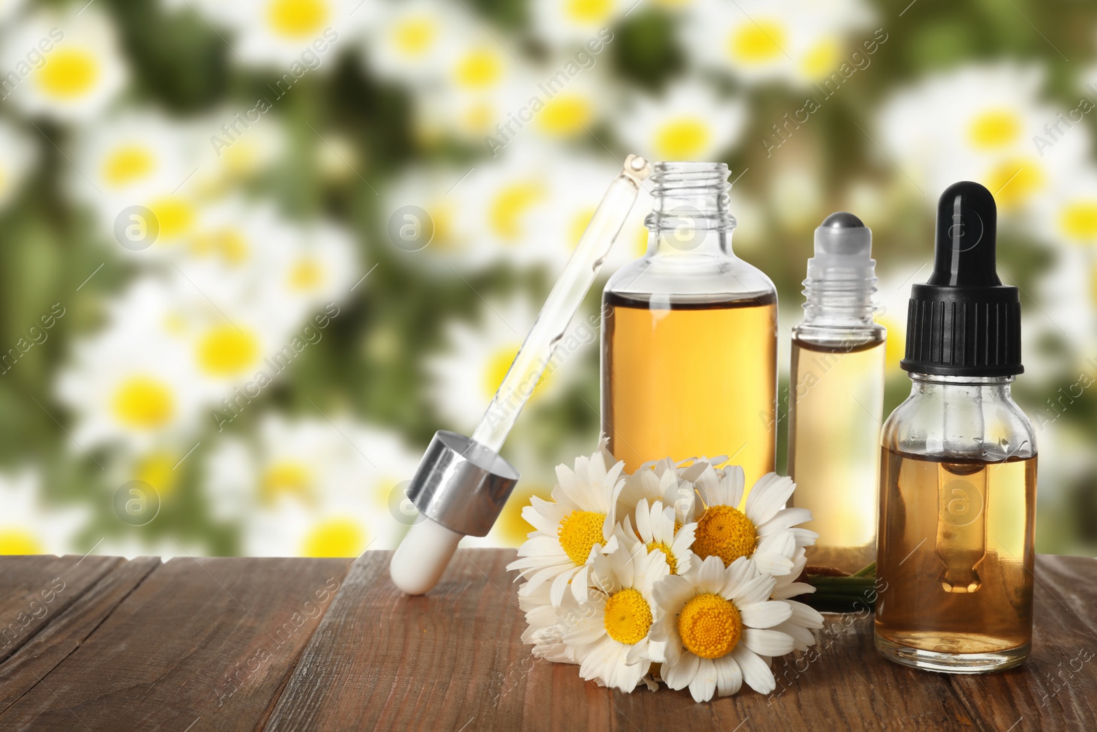 Image of Bottles of essential oil and chamomile flowers on wooden table against blurred background. Space for text