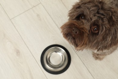 Photo of Cute Maltipoo dog and his bowl on floor, above view with space for text. Lovely pet