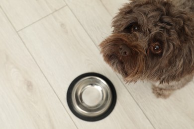 Cute Maltipoo dog and his bowl on floor, above view with space for text. Lovely pet