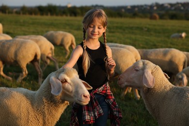 Photo of Girl stroking sheep on pasture. Farm animals