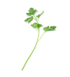 Photo of Leaves of fresh tasty parsley on white background