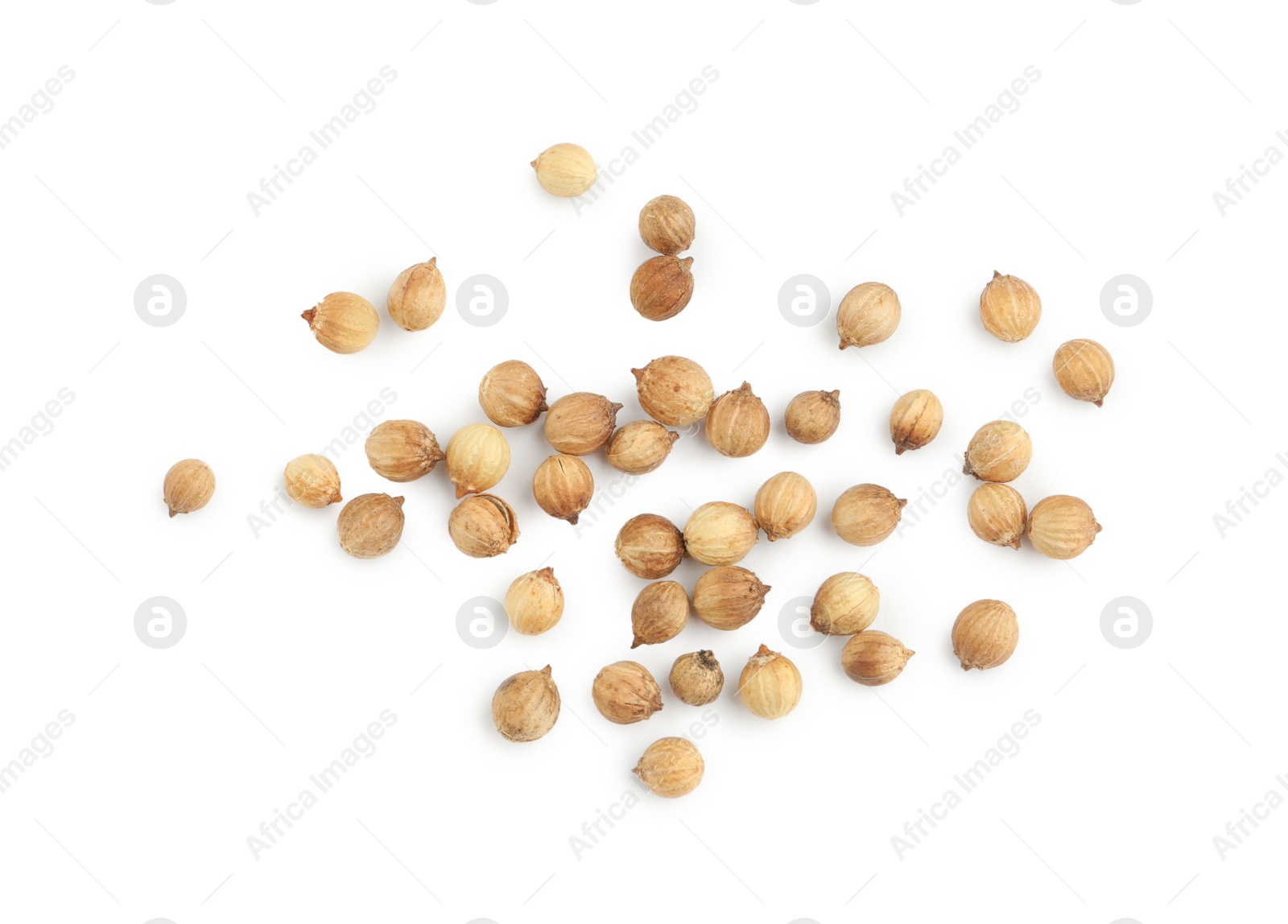 Photo of Scattered dried coriander seeds on white background, top view