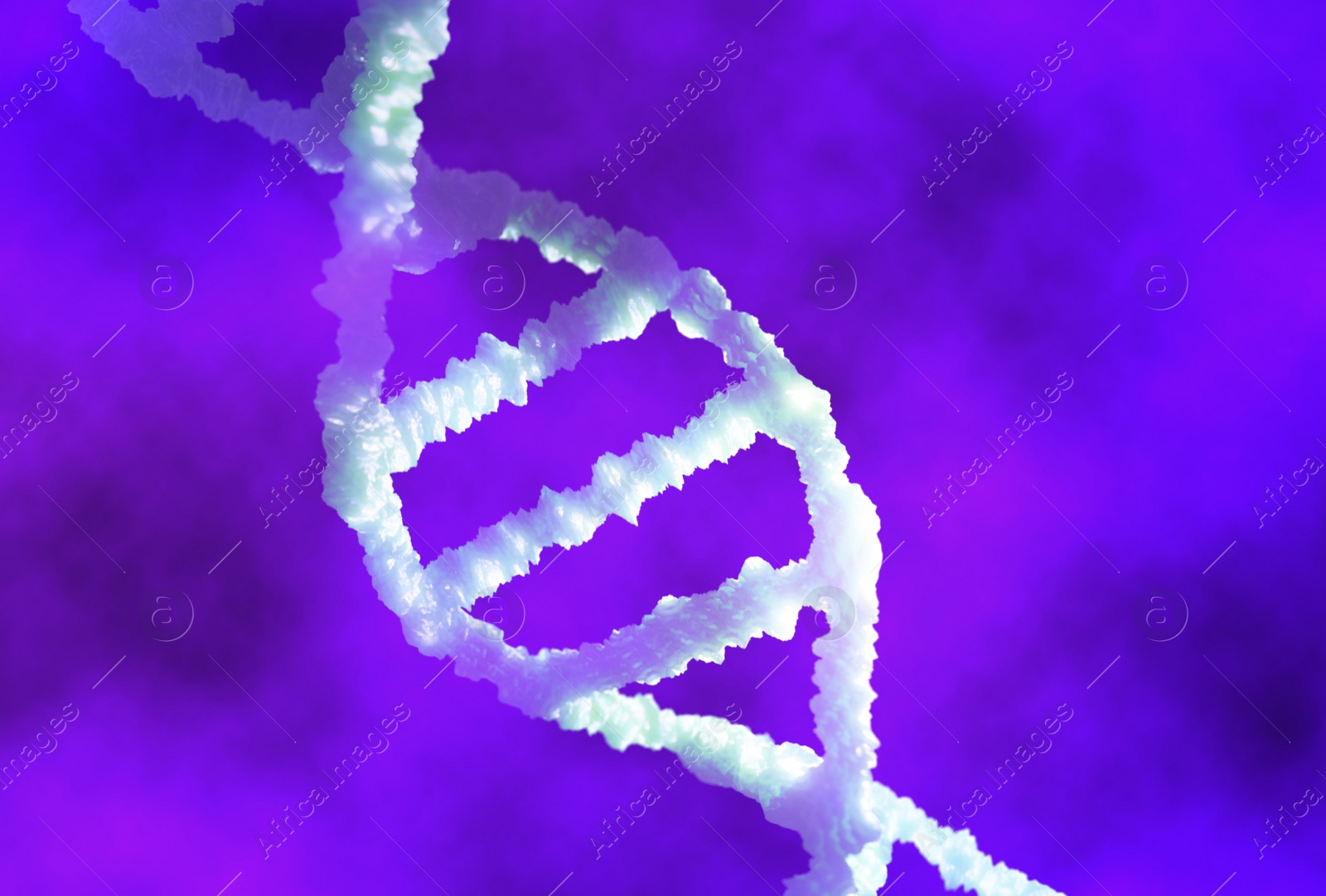 Illustration of Structure of DNA on purple background. Illustration