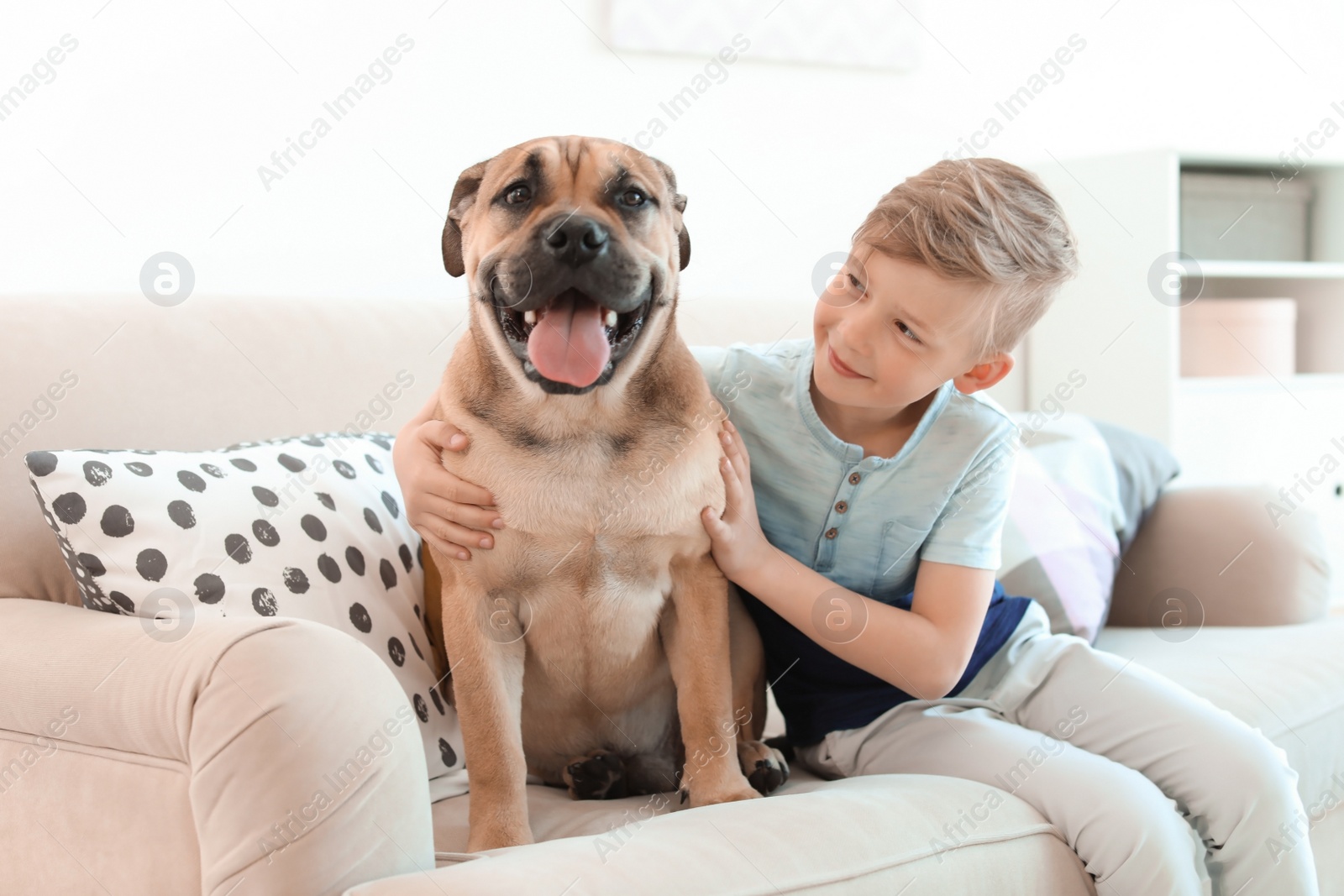 Photo of Cute little child with his dog on couch at home