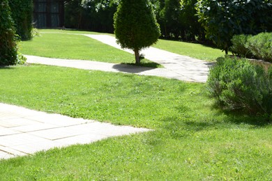 Photo of Green lawn with fresh grass, bushes and trees outdoors on sunny day